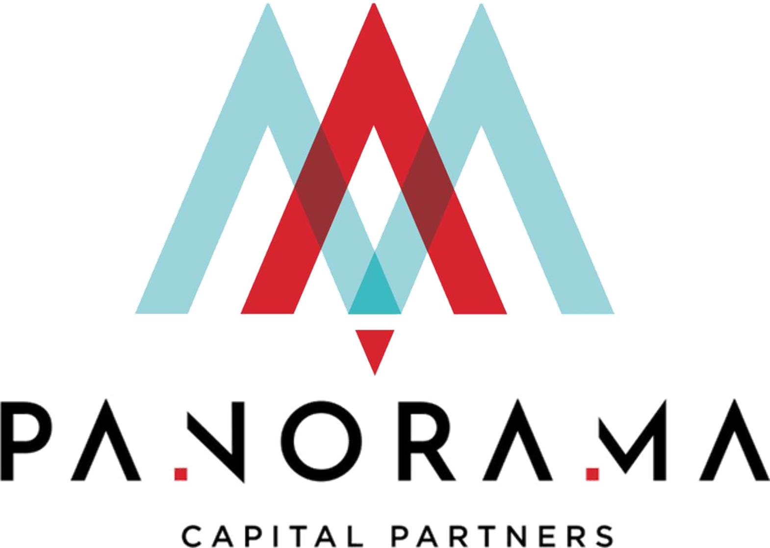 Panorama Capital Partners